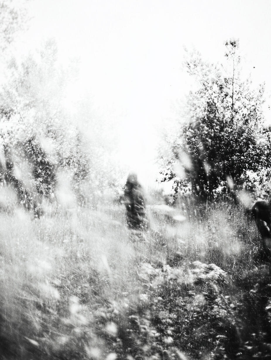 Farmer in Sunlight, 2025. Pigment print, 24 × 30 cm