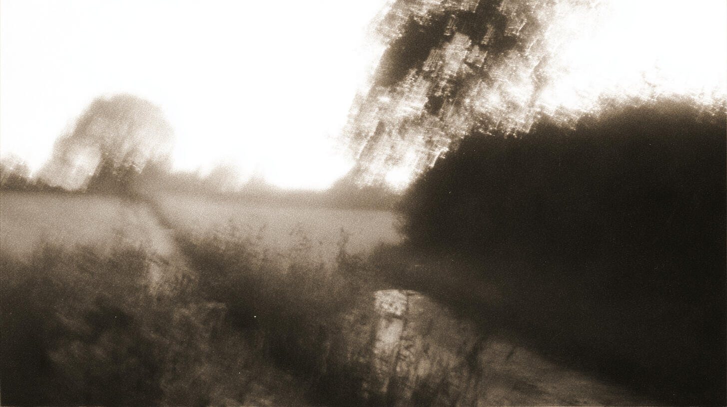 Sunlit Field, 2025. Pigment print, 30 × 40 cm