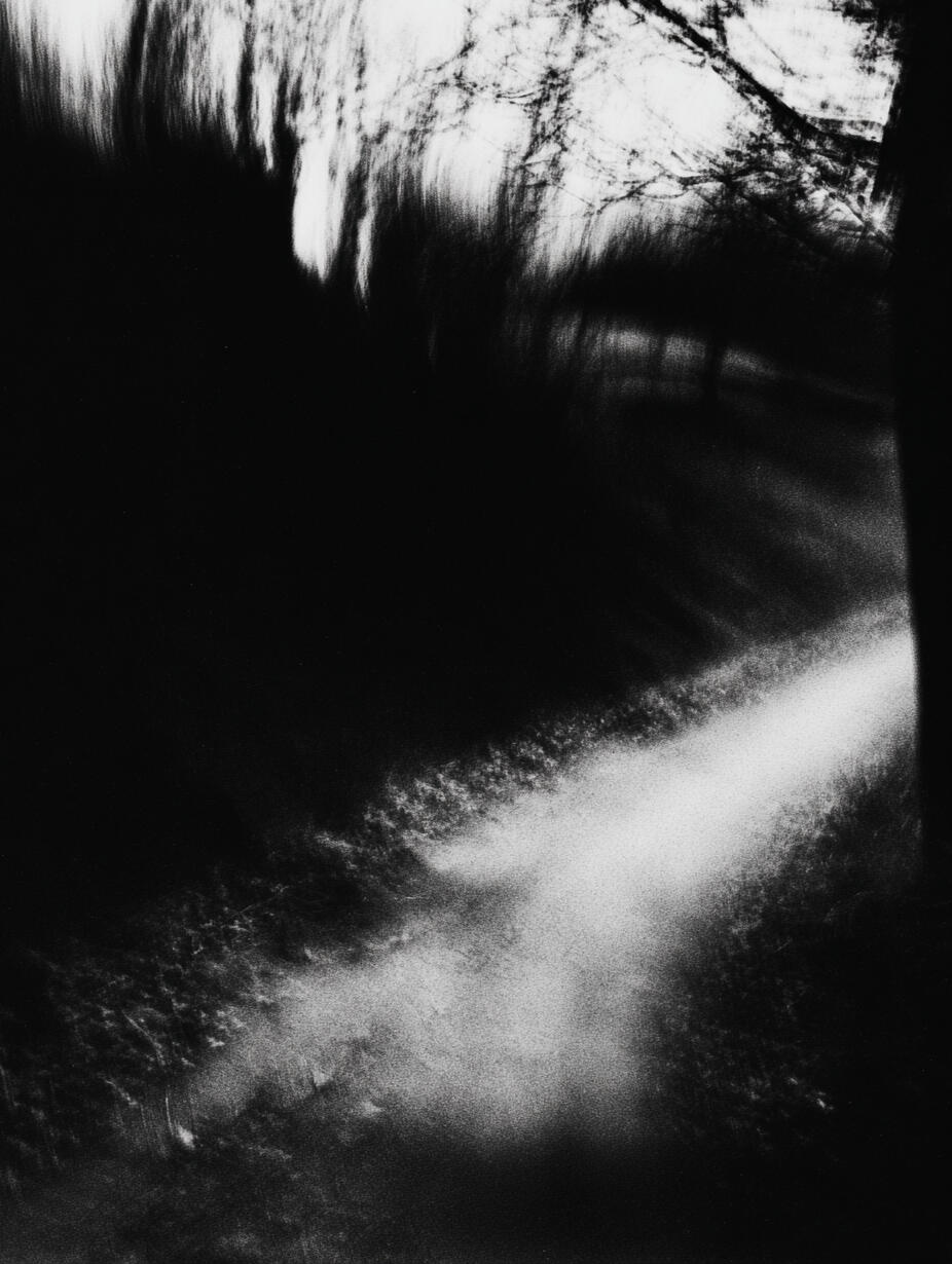 Sunlit Path, 2025. Pigment print, 24 × 30 cm